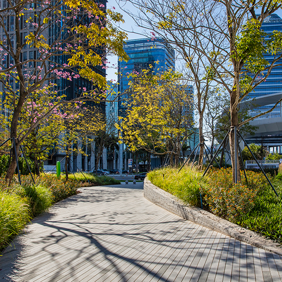 濱海廊橋工程園建工程標(biāo)段2（B地塊－E地塊）